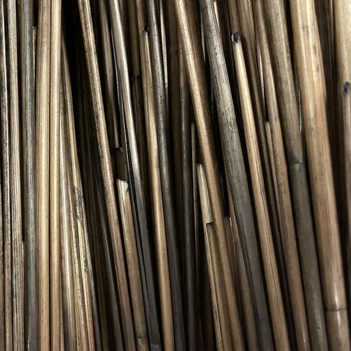 Paille de seigle couleur marron foncé - 50 gr