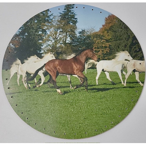 Fond 29 cm - mélaminé Chevaux