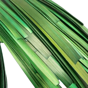 Paille de seigle Aplanie - vert juniper - 10 gr